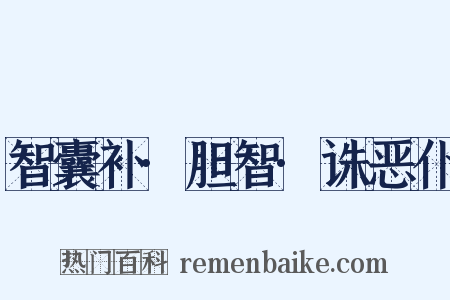 智囊补·胆智·诛恶仆是什么意思的图片